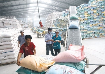 Chức trách, nhiệm vụ và tiêu chuẩn chuyên môn, nghiệp vụ các ngạch công chức chuyên ngành dự trữ quốc gia.